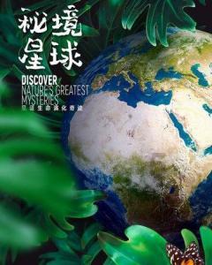 智能问答网页什么哀思填空两个字?,即时解答你的疑惑
